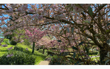 Vacances de printemps: interruption des cours pendant 2 semaines